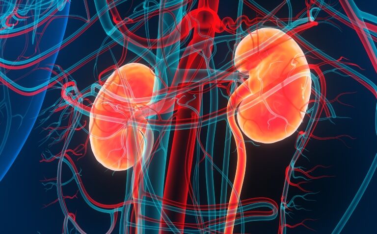 Empagliflozin receives EU approval for chronic kidney disease