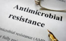 Mixed strain pathogen population responsible for antimicrobial resistance, study finds