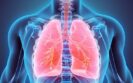 Tiny robot represents possible novel approach for less invasive lung cancer detection and treatment