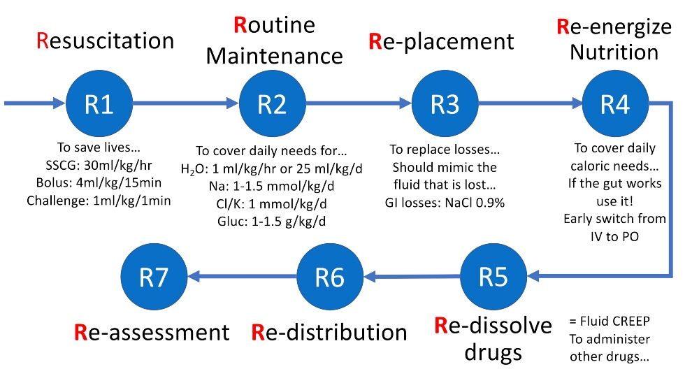 Figure 1. The 7 Rs framework with the five indications for fluid administration (resuscitation, routine maintenance, replacement, dilution or nutrition)