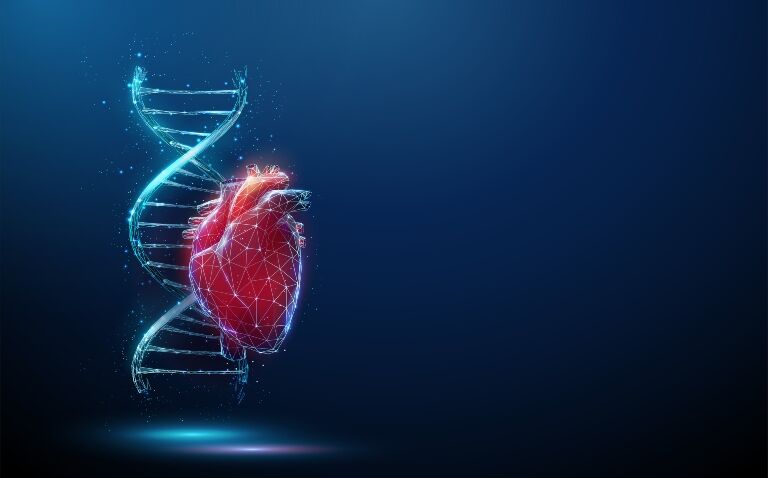 AI and genetics underpin project to speed up CVD diagnosis and personalise treatment