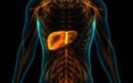 Advancements in SIRT for neuroendocrine tumours