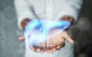 Revolutionising liver transplantation: The LEOPARD Project