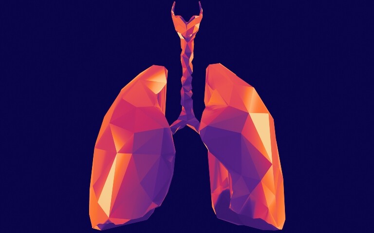 3d stylized representation of human lungs depicted in a low-poly geometric style to illustrate the European Respiratory Society (ERS) Congress 2025