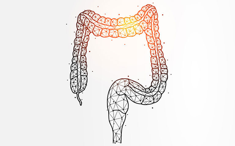 A black and white wire frame drawing of a large intestine with a glowing yellow patch over the traverse colon to illustrate NICE's recommendation of five AI tools to help detect bowel cancer earlier
