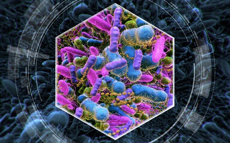 A highly magnified