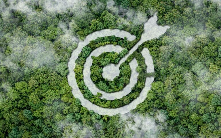 A birds-eye view of a woodland with a white target symbol over the trees to demonstrate achieving sustainability targets at Great Western Hospital