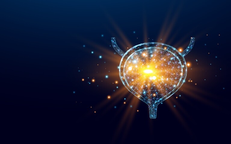 A digital illustration of a wireframe bladder with a glowing
