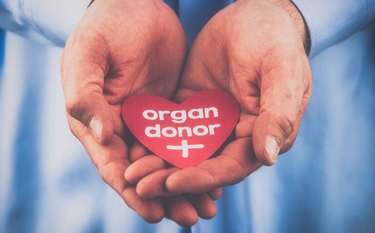Closing the gap: standardising organ donation and transplantation success
