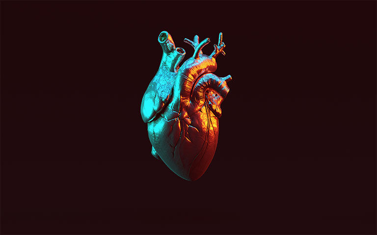 Comprehensive heart cell atlas offers new and unique insight into heart cells and function