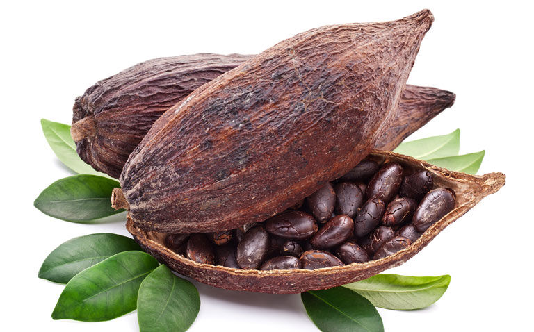 Dietary flavanols improve memory in older adults with poor diet