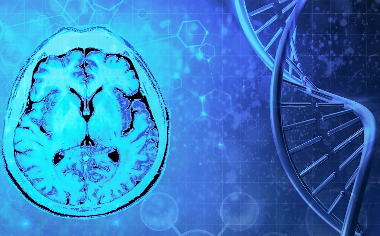Distinct epilepsy risk loci and subtype-specific genetic architecture identified in large study