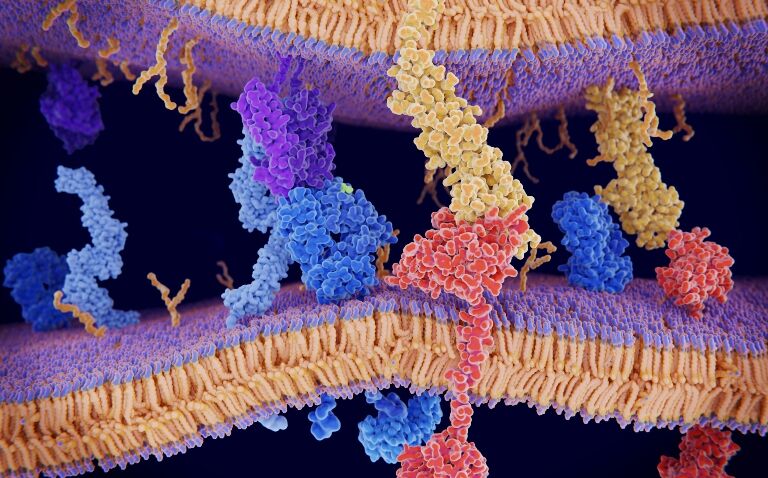 Dr John Conibear on the evolution of durvalumab in NSCLC care
