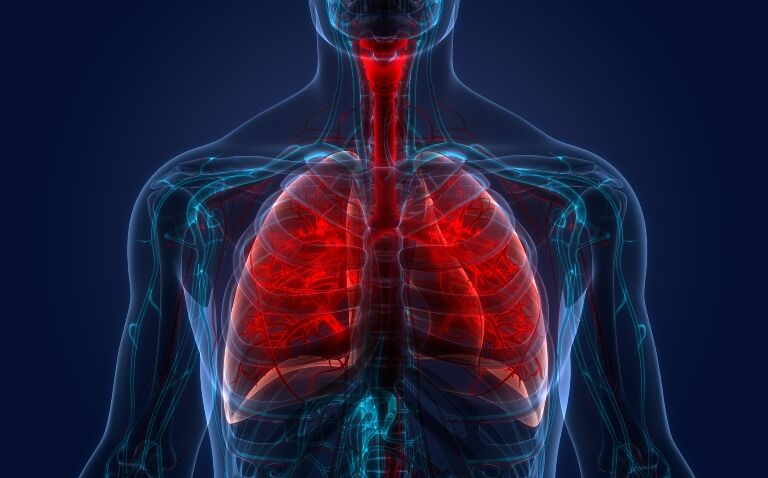 ERS guideline on managing symptoms of severe respiratory illness in adults: expert commentary
