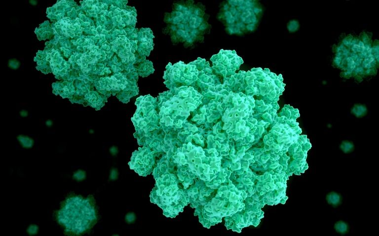 Earlier norovirus outbreak adding to winter pressures on hospitals