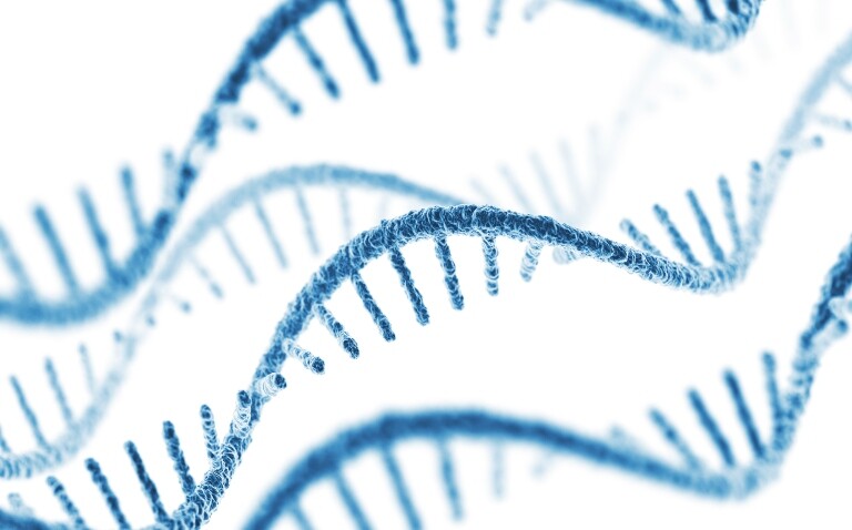 A set of four blue computer generated single-strand RNA on a white background illustrating the use of transcriptomics in breast cancer clinical practice