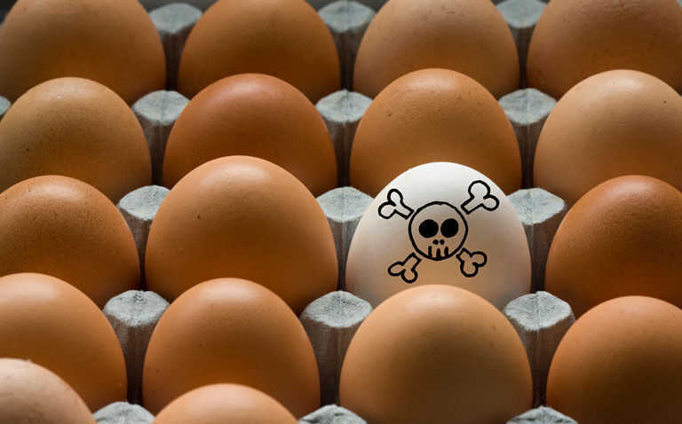 Enhanced versus reactive treatment of atopic eczema reduces hen's egg allergy