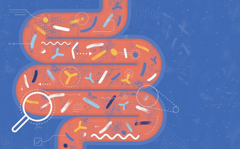 A computer generated illustration of a red section of intestinal tract on a blue background with multicoloured bacteria and antibodies along the intestine and a white magnifying glass and arrows pinpointing specific bacteria to represent the study of the gut microbiome for rheumatoid arthritis prevention