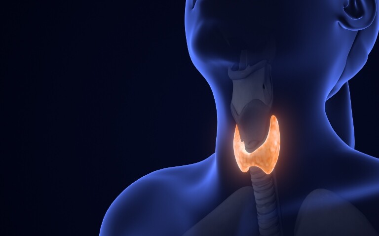 A digital illustration of a thyroid gland glowing orange in front of the trachea in the neck of a human figure to highlight the discovery that radioiodine ablation is not required after thyroidectomy in low-risk thyroid cancer patients