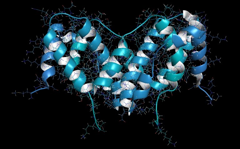 A computer generated 3D illustration of an interferon gamma cytokine molecule to illustrate progress made in predicting methotrexate response in JIA