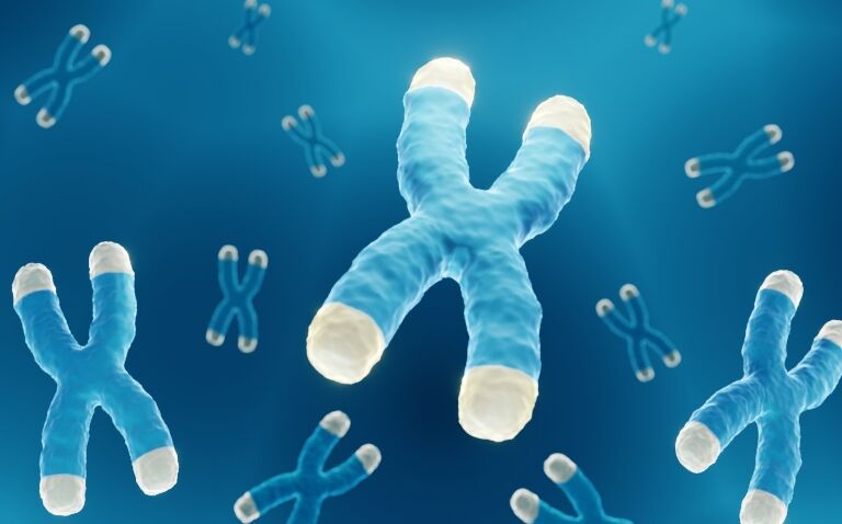 Gene linked to heart defects in Down syndrome identified