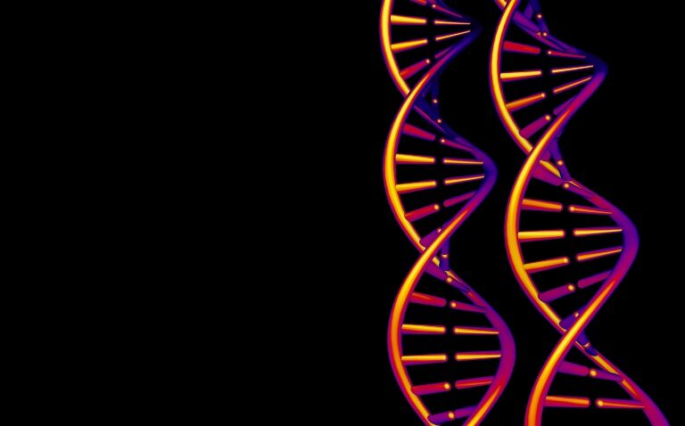 Genetic loci linked to hidradenitis suppurativa identified