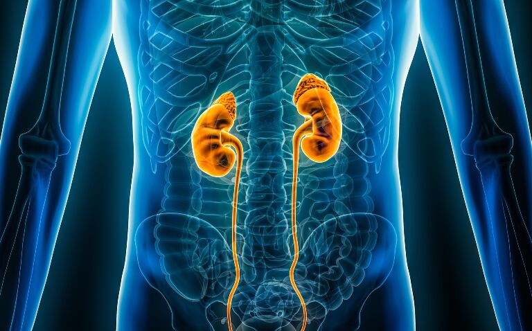 Green light for full budesonide approval as study shows efficacy in primary IgA nephropathy
