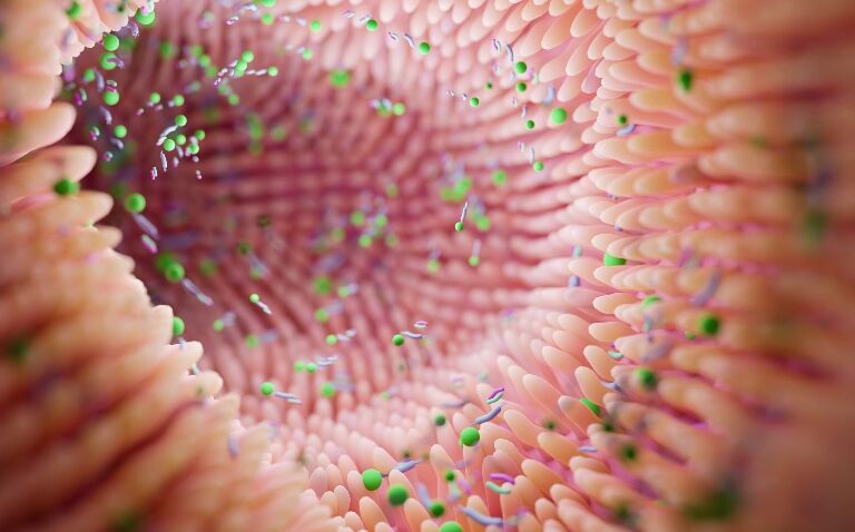 Gut microbiome changes uniformly linked to allergic disease development in childhood