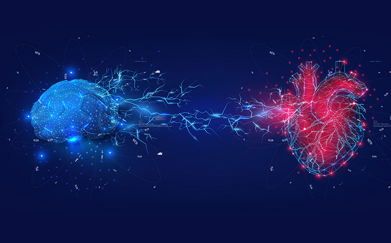 Digital illustration of a blue brain and a red heart connected by electric-like neural energy