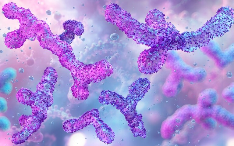 A digital illustration of purple and pink bifidobacterium to illustrate the finding that probiotics containing these good bacteria can reduce infections and AMR in preterm infants