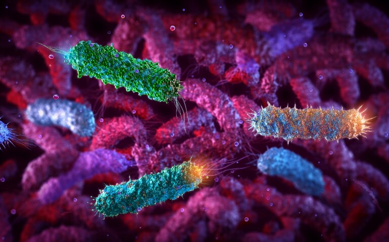 A computer generated 3D microscope image of rod-shaped e.coli bacteria to illustrate heterogeneity in RNA repair driving transient AMR