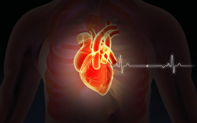 3d illustration of a human heart glowing red with an ECG trace on the right hand side and a body outline in the background to highlight increased heart disease risk with adult-onset type 1 diabetes