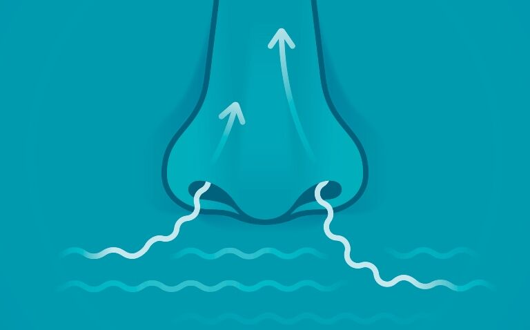 Intranasal epinephrine provides faster absorption than autoinjector for anaphylaxis