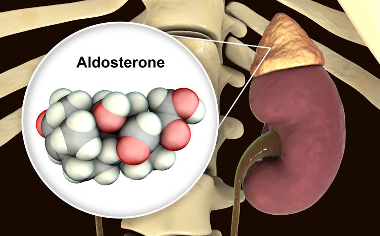 Metomidate scan enables diagnosis of primary aldosteronism