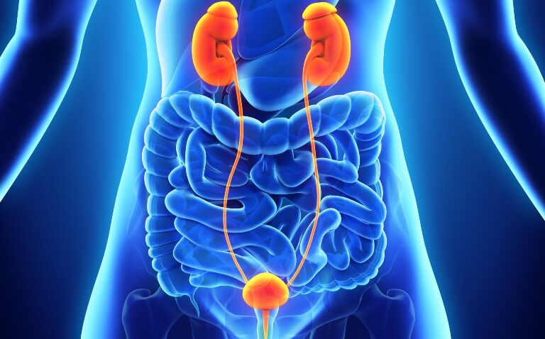 New antibiotic cefepime/enmetazobactam receives positive CHMP opinion for cUTIs