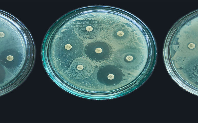 Novel efflux pump inhibitor could help to combat antibiotic resistance