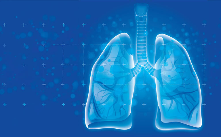 A stylised representation of the human lungs