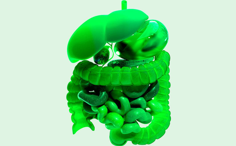 Prioritising transitional care in digestive health a UEG roadmap