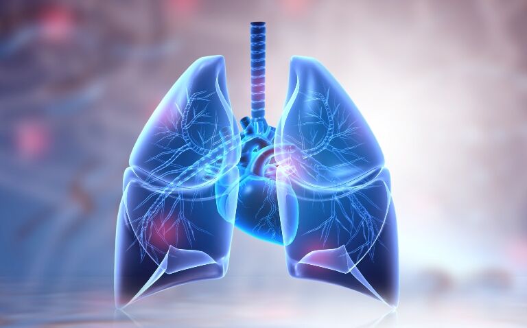 Research digest: Perioperative pembrolizumab and overall survival in early-stage NSCLC