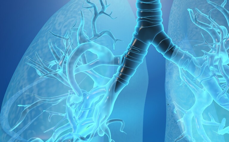 A close up of a digitally illustrated pair of human lungs to illustrate that the diagnostic yeild of robot-assisted bronchoscopy is three times higher than traditional techniques