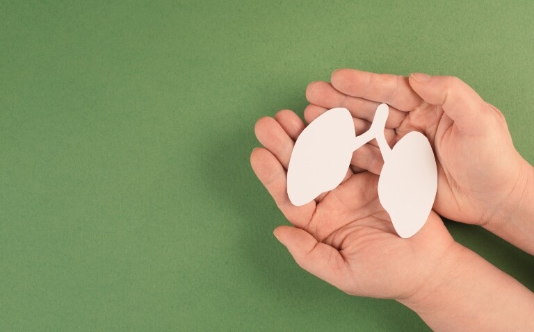 A child's hands and wrists with palms facing upwards and a paper cut out of a pair of lungs resting on them over a plain green background to illustrate Alder Hey's Clean Air Clinic model and efforts to improve paediatric respiratory health