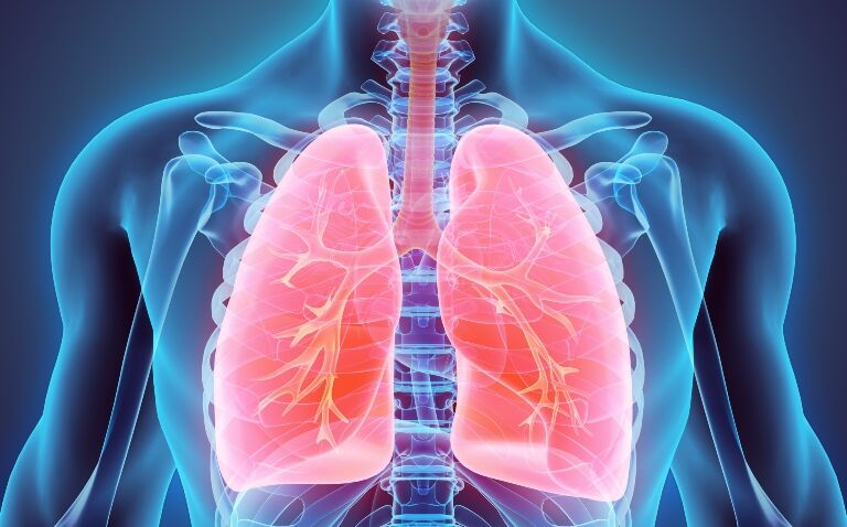 Tiny robot represents possible novel approach for less invasive lung cancer detection and treatment