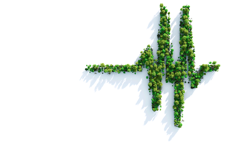 Toolkit to help physicians take action on climate change and health unveiled by RCP
