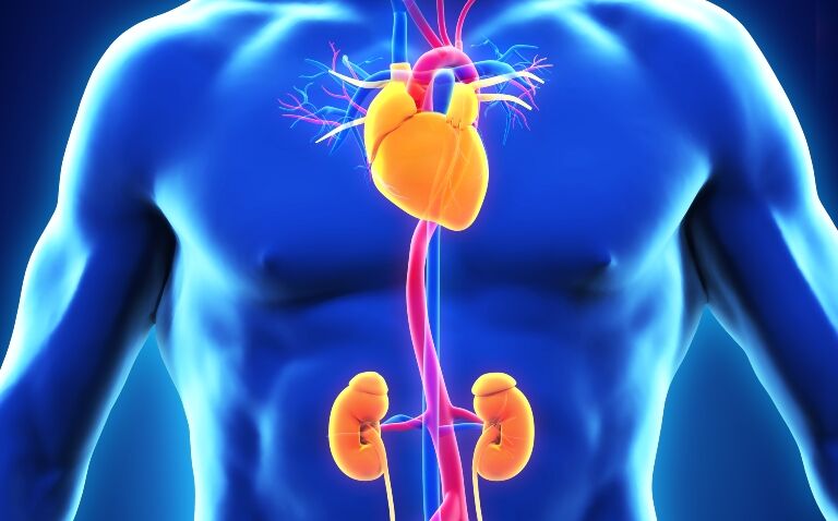 ‘Unacceptably high risk’ of myocardial infarction and stroke among patients with kidney failure