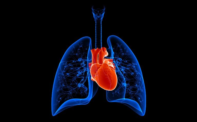 Understanding the new tool that found COPD among key cardiovascular disease risk factors