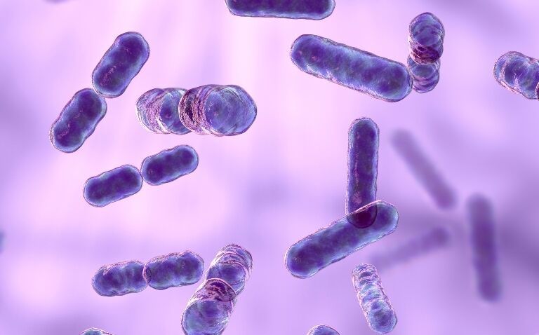 Variation in gut microbiome a possible marker for colorectal cancer