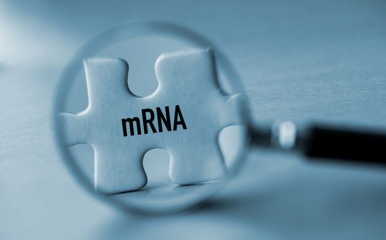 mRNA vaccines: a promising strategy in fighting cancer