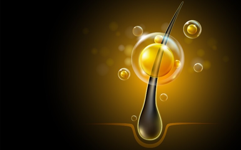 Digital illustration of a single hair strand growing from a follicle in the scalp