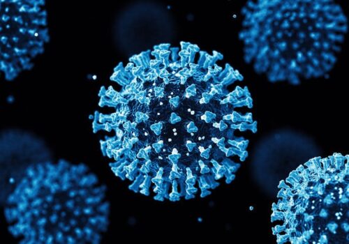 Androgen suppression with degarelix fails to improve outcomes in men hospitalised with COVID-19