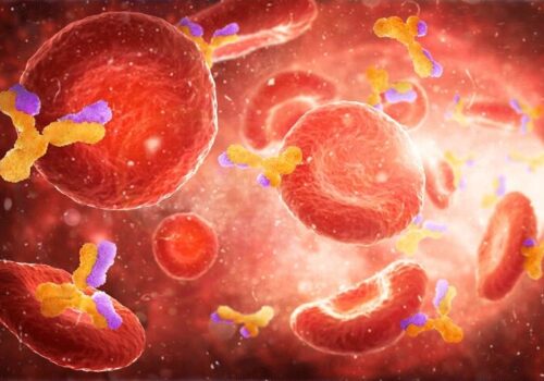 Anti-CD20 therapy increases complication risk in COVID-19 for blood cancer patients|Anti-CD20 therapy increases complication risk in COVID-19 for blood cancer patients